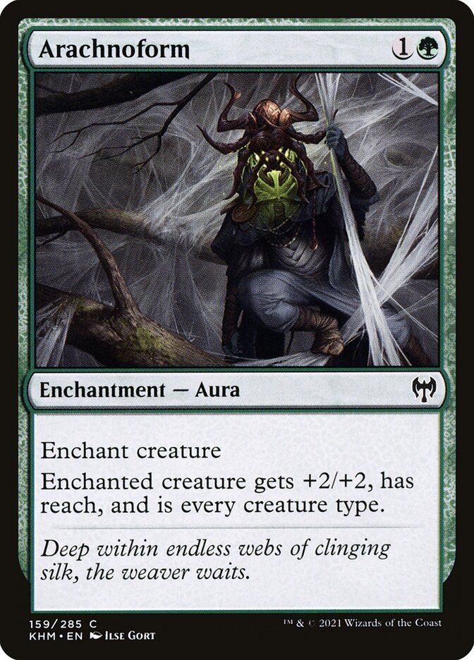 Arachnoform Arachnoform