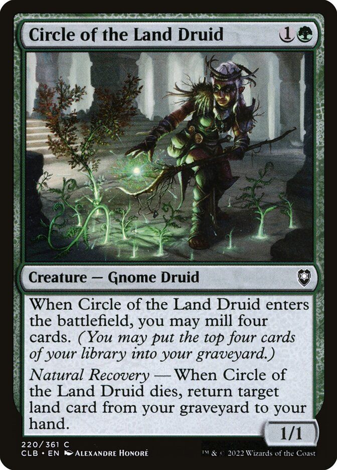 Circle of the Land Druid Circle of the Land Druid