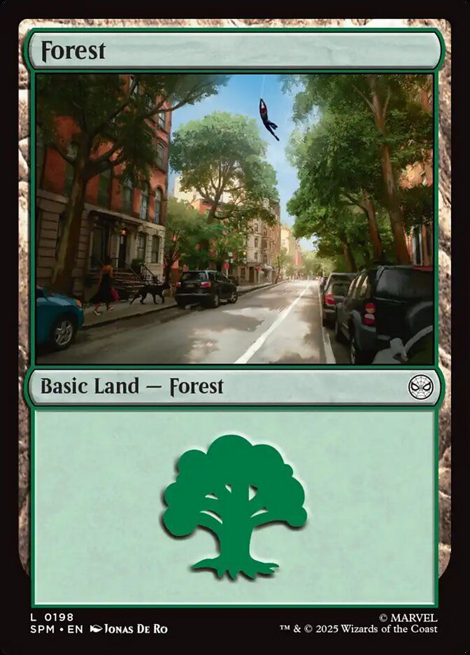 Forest Forest
