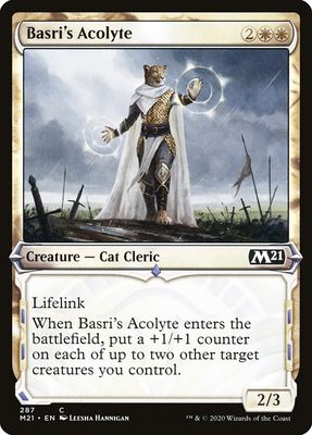 Basri's Acolyte Basri's Acolyte
