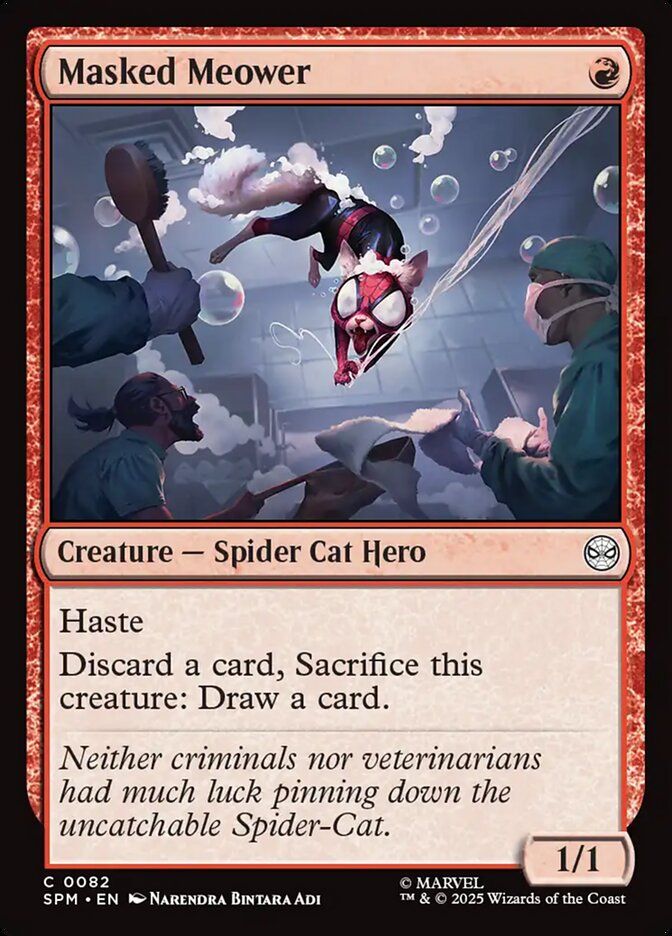 Masked Meower Masked Meower
