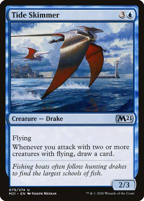 Tide Skimmer Tide Skimmer