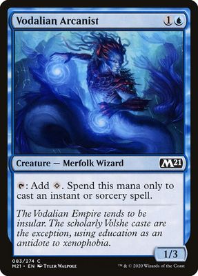 Vodalian Arcanist Vodalian Arcanist