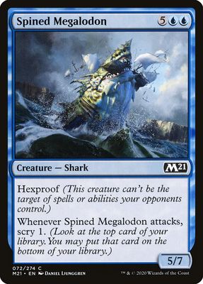 Spined Megalodon Spined Megalodon