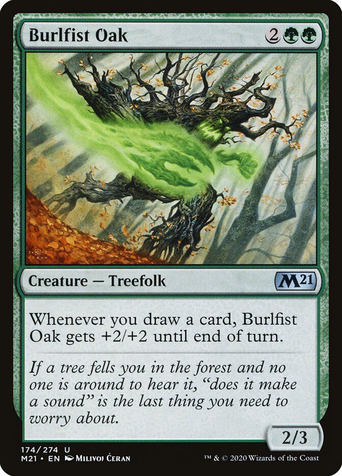 Burlfist Oak Burlfist Oak
