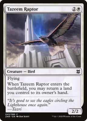 Tazeem Raptor Tazeem Raptor