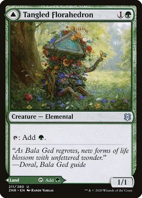 Tangled Florahedron // Tangled Vale Tangled Florahedron // Tangled Vale