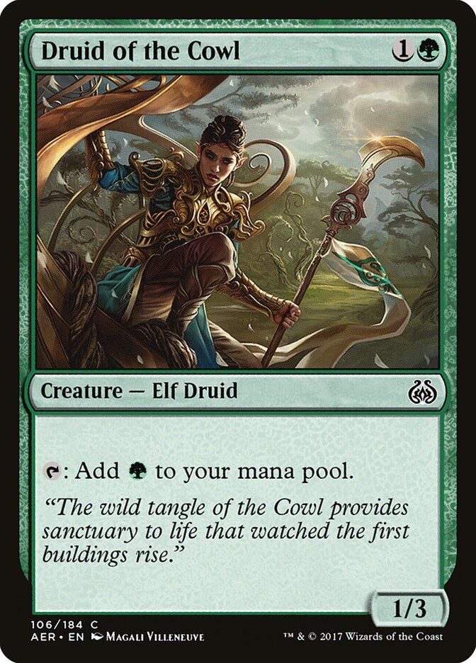Druid of the Cowl Druid of the Cowl
