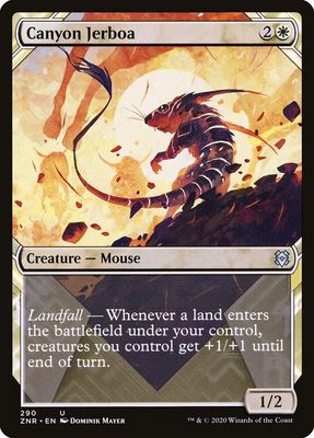 Canyon Jerboa Canyon Jerboa