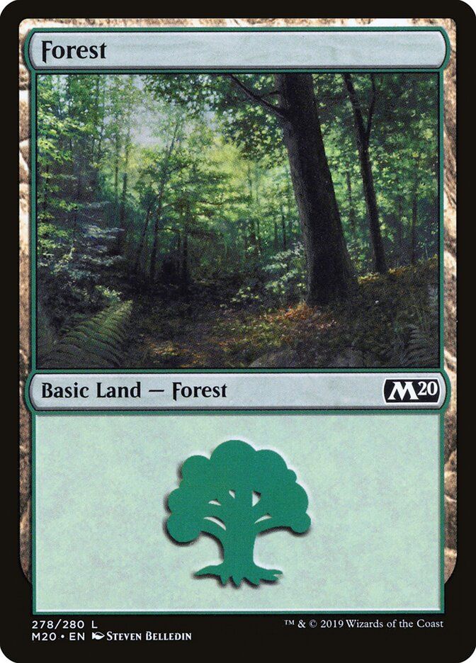 Forest Forest