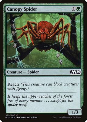Canopy Spider Canopy Spider