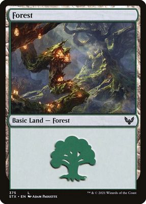 Forest Forest