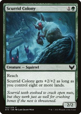 Scurrid Colony Scurrid Colony
