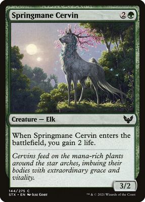 Springmane Cervin Springmane Cervin