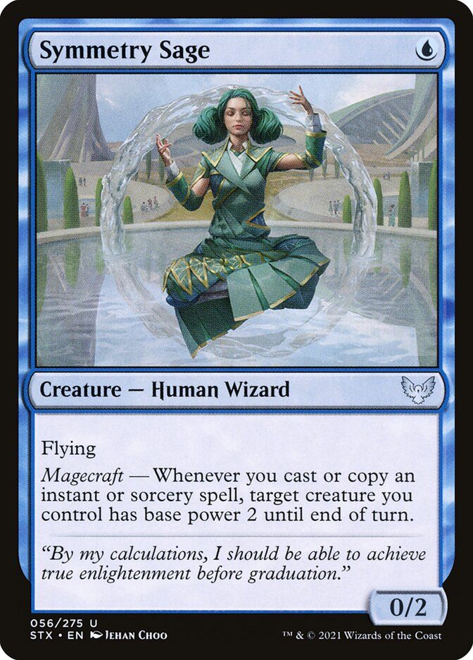 Symmetry Sage Symmetry Sage