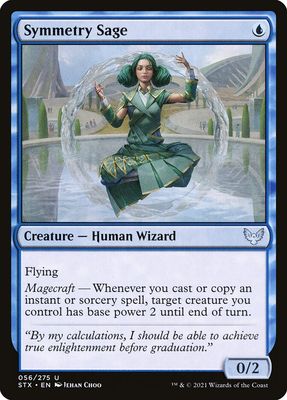 Symmetry Sage Symmetry Sage