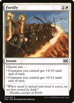 Fortify Fortify