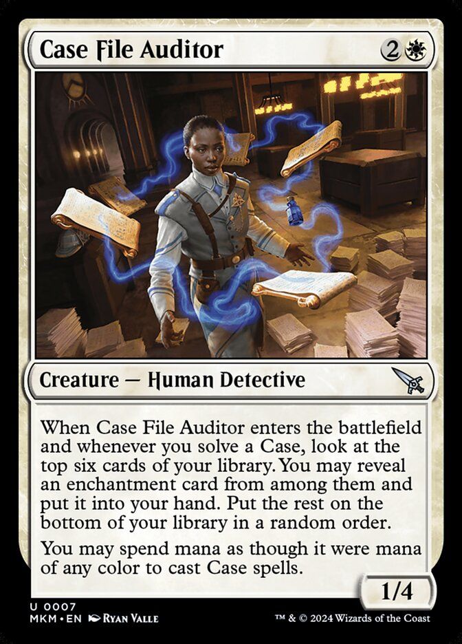 Case File Auditor Case File Auditor