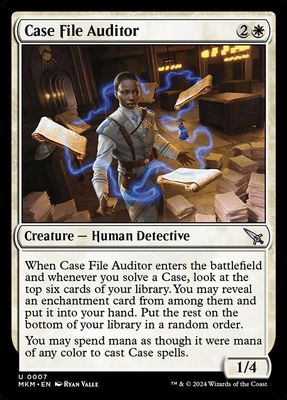 Case File Auditor Case File Auditor