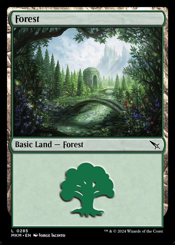 Forest Forest