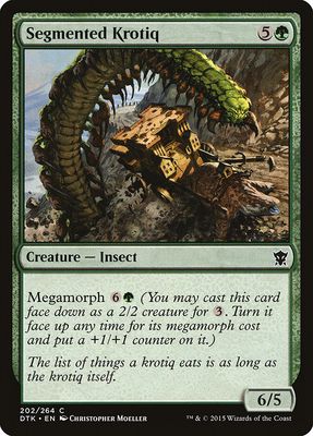 Segmented Krotiq Segmented Krotiq