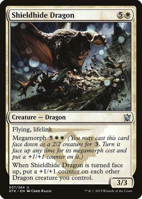 Shieldhide Dragon Shieldhide Dragon