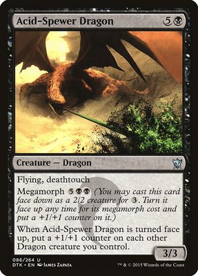 Acid-Spewer Dragon Acid-Spewer Dragon