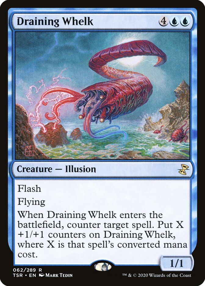 Draining Whelk Draining Whelk