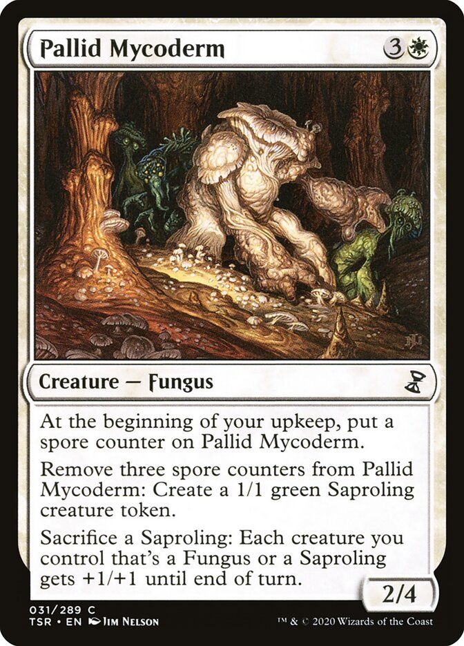 Pallid Mycoderm Pallid Mycoderm