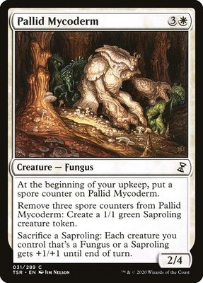 Pallid Mycoderm Pallid Mycoderm