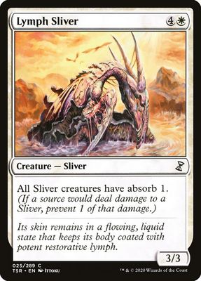 Lymph Sliver Lymph Sliver