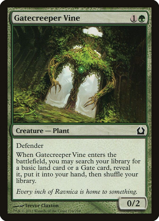 Gatecreeper Vine Gatecreeper Vine