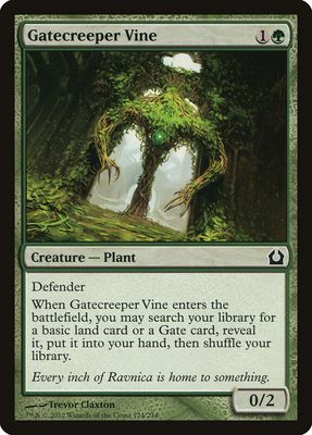 Gatecreeper Vine Gatecreeper Vine