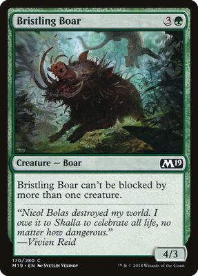 Bristling Boar Bristling Boar