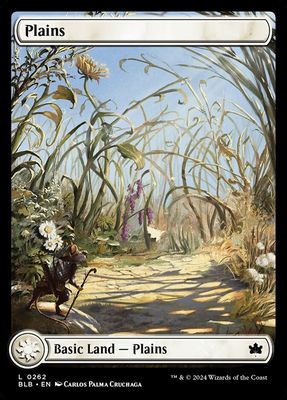 Plains Plains