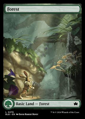 Forest Forest