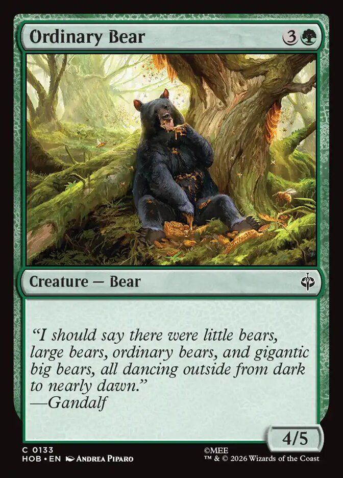 Ordinary Bear Ordinary Bear