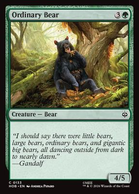 Ordinary Bear Ordinary Bear