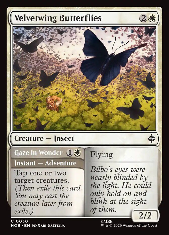 Velvetwing Butterflies // Gaze in Wonder Velvetwing Butterflies // Gaze in Wonder