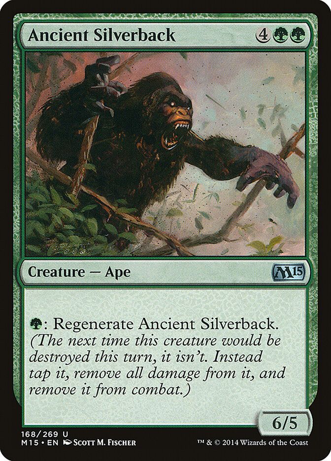 Ancient Silverback Ancient Silverback