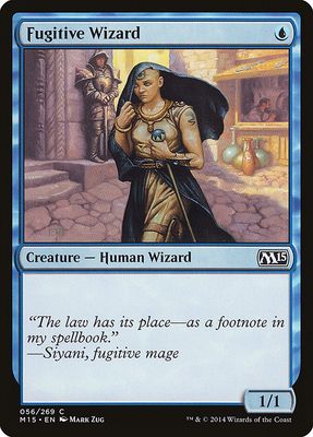 Fugitive Wizard Fugitive Wizard