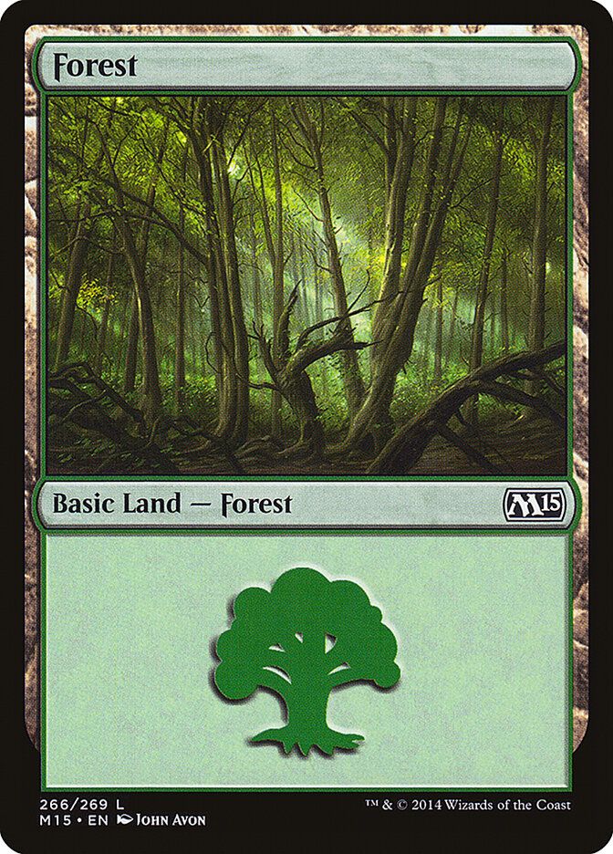 Forest Forest