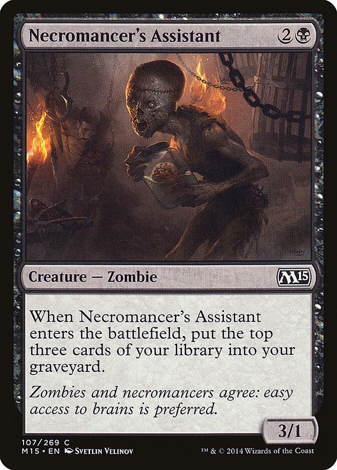 Necromancer's Assistant Necromancer's Assistant
