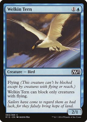 Welkin Tern Welkin Tern