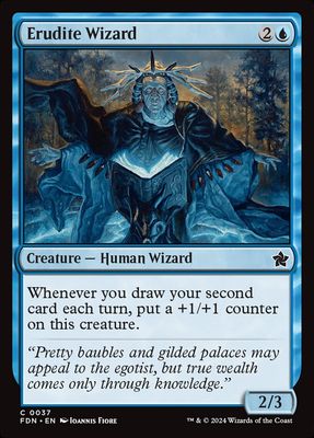 Erudite Wizard Erudite Wizard