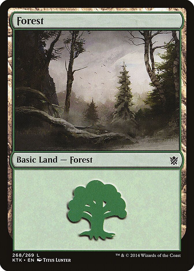 Forest Forest