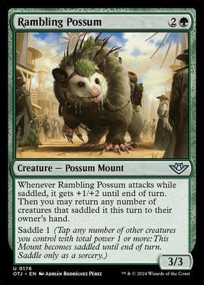 Rambling Possum Rambling Possum