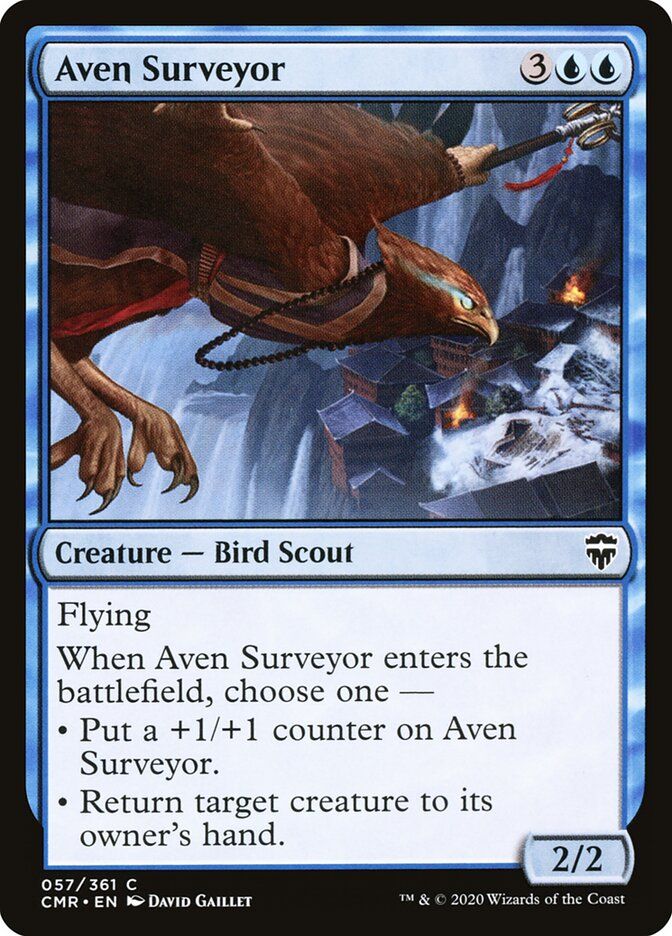 Aven Surveyor Aven Surveyor