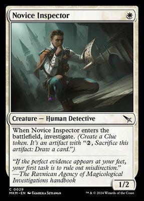 Novice Inspector Novice Inspector