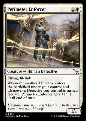 Perimeter Enforcer Perimeter Enforcer